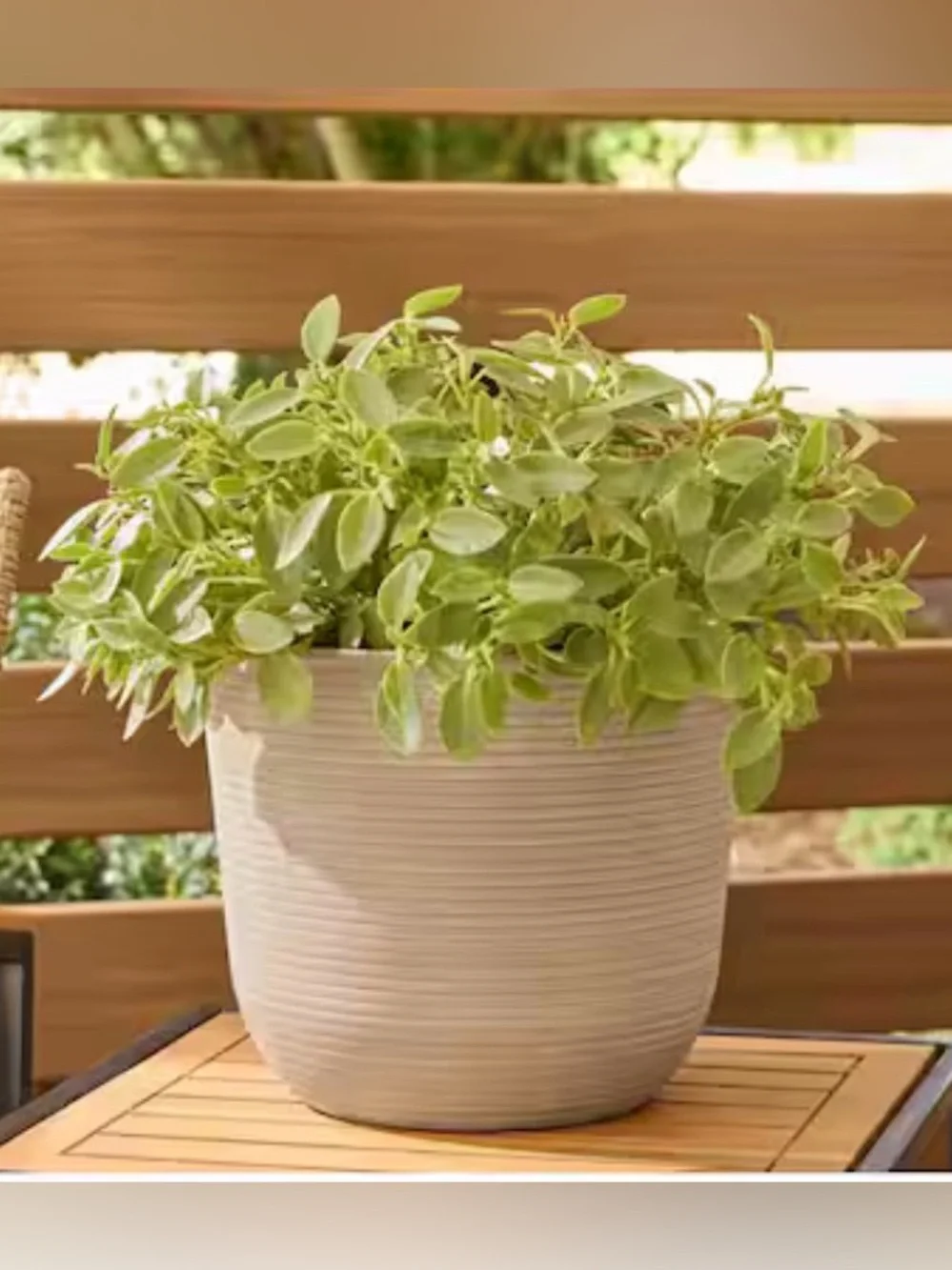 Vigoro Thatcher Medium Beige Round Planter 11.3” Plastic Pot w/ Drainage Hole